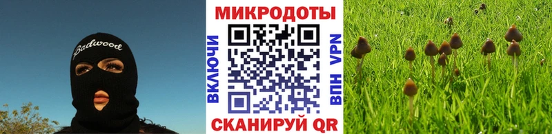 где купить наркотик  Пермь  Псилоцибиновые грибы Psilocybe 
